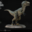 Jurassic World: Fallen Kingdom Prime Collectibles Statue 1/2 Baby Blue 34 cm