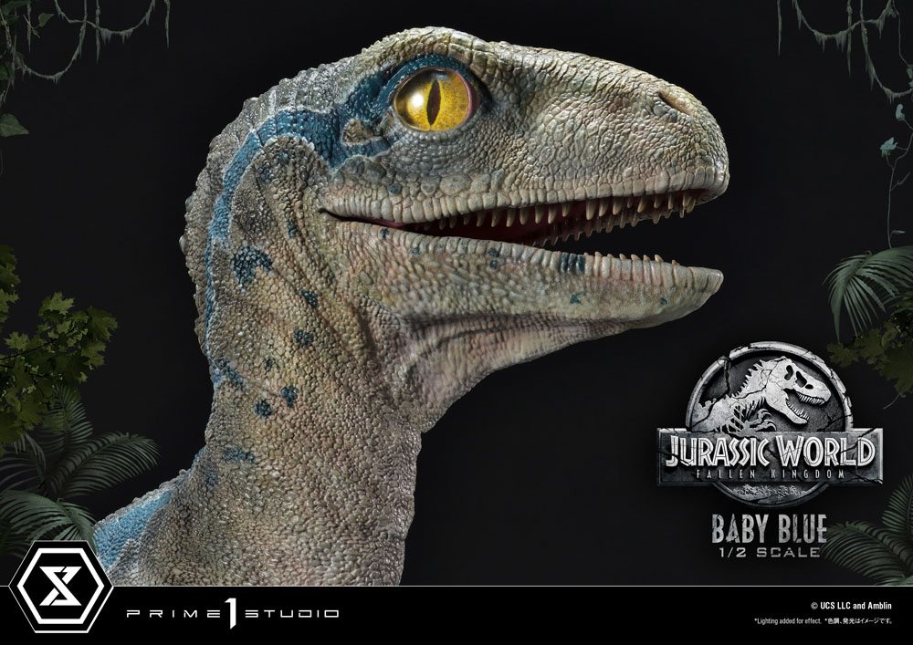 Jurassic World: Fallen Kingdom Prime Collectibles Statue 1/2 Baby Blue 34 cm