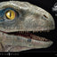 Jurassic World: Fallen Kingdom Prime Collectibles Statue 1/2 Baby Blue 34 cm