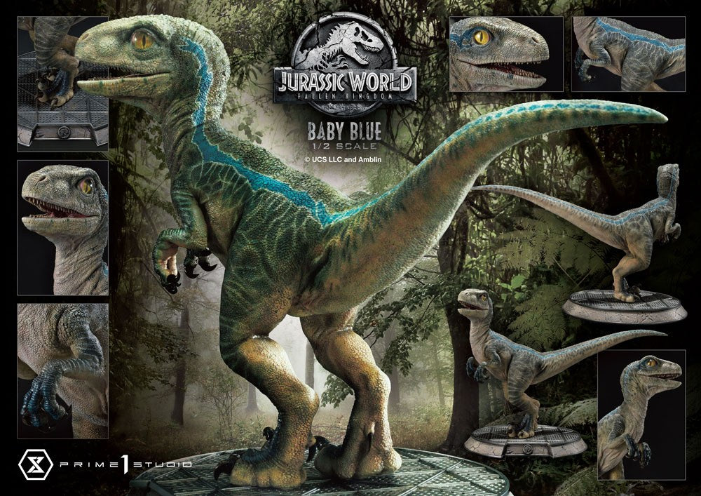 Jurassic World: Fallen Kingdom Prime Collectibles Statue 1/2 Baby Blue 34 cm