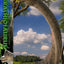 Jurassic Park (Film) Legacy Museum Collection Statue 1/15 Brachiosaurus 128 cm