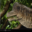 Jurassic Park (Film) Legacy Museum Collection Statue 1/15 Brachiosaurus 128 cm