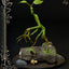 Fantastic Beasts Statue Pickett 27 cm