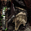 Prey (Movie) Museum Masterline Series Statue 1/3 Feral Predator Deluxe Bonus Version 89 cm