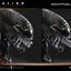 Alien: Romulus Museum Masterline XL Statue 1/3 Scorched Xenomorph 98 cm