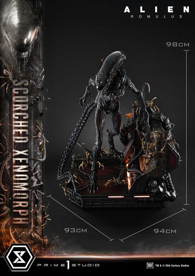 Alien: Romulus Museum Masterline XL Statue 1/3 Scorched Xenomorph 98 cm