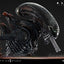 Alien: Romulus Museum Masterline XL Statue 1/3 Scorched Xenomorph 98 cm