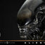Alien Museum Masterline XL Statue 1/3 Big Chap Xenomorph Regular Ver. Bonus Version 100 cm