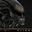 Alien Museum Masterline XL Statue 1/3 Big Chap Xenomorph Regular Ver. Bonus Version 100 cm