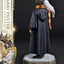 Harry Potter Prime Collectibles Statue 1/6 Harry Potter with Hedwig 28 cm