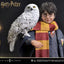 Harry Potter Prime Collectibles Statue 1/6 Harry Potter with Hedwig 28 cm