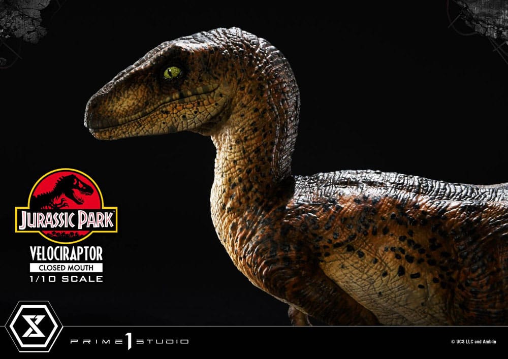 Jurassic Park Prime Collectibles Statue 1/10 Velociraptor Closed Mouth 19 cm