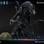 Aliens Premium Masterline Series Statue Warrior Alien Deluxe Bonus Version 67 cm