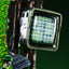 DC Comics Real Elite Masterline Series Statue 1/3 The Riddler All In One (Design by Carlos D'Anda) 74 cm