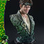 DC Comics Real Elite Masterline Series Statue 1/3 The Riddler All In One (Design by Carlos D'Anda) Deluxe Version 74 cm