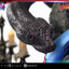Darkstalkers Real Elite Masterline Series Statue 1/4 Lilith 52 cm