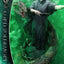 Harry Potter Real Elite Masterline Series Statue 1/4 Lord Voldemort Bonus Version 83 cm