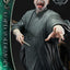 Harry Potter Real Elite Masterline Series Statue 1/4 Lord Voldemort Bonus Version 83 cm