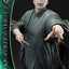 Harry Potter Real Elite Masterline Series Statue 1/4 Lord Voldemort Bonus Version 83 cm