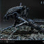 Aliens (Film) Ultimate Diorama Masterline Statue Warrior Xenomorph for Queen Alien 23 cm