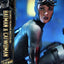 DC Comics Ultimate Premium Masterline Series Statue 1/4 Batman & Catwoman (Concept Design by Clay Mann) 56 cm