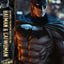 DC Comics Ultimate Premium Masterline Series Statue 1/4 Batman & Catwoman (Concept Design by Clay Mann) 56 cm