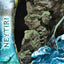 Avatar: The Way of Water Statue Neytiri 77 cm