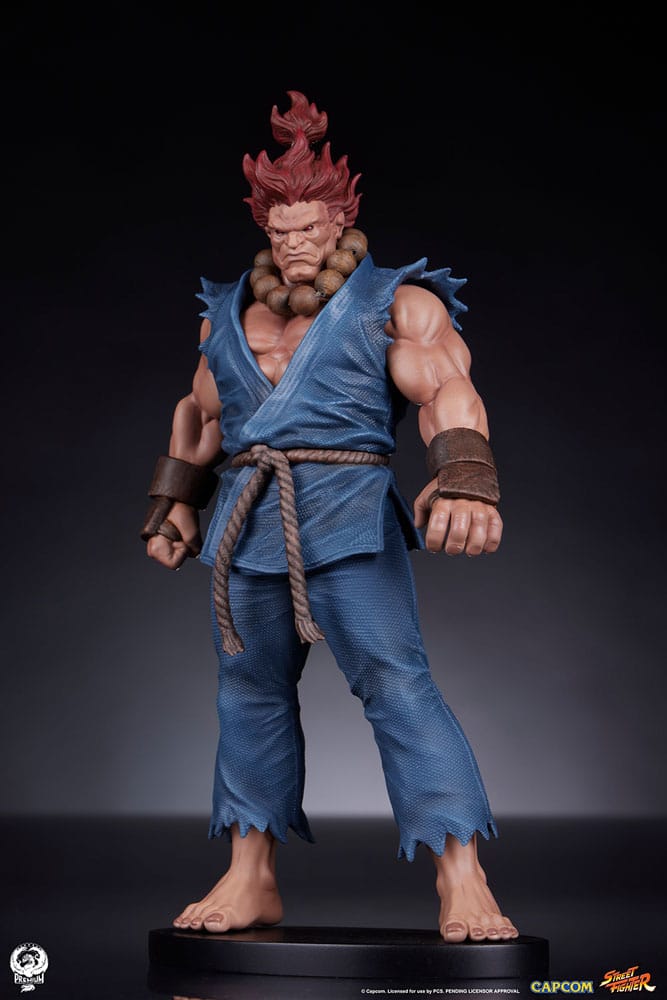 Street Fighter PVC Statues 1/10 Akuma & Dhalsim 21 cm