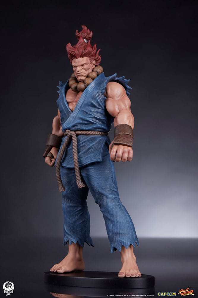 Street Fighter PVC Statues 1/10 Akuma & Dhalsim 21 cm