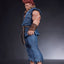 Street Fighter PVC Statues 1/10 Akuma & Dhalsim 21 cm