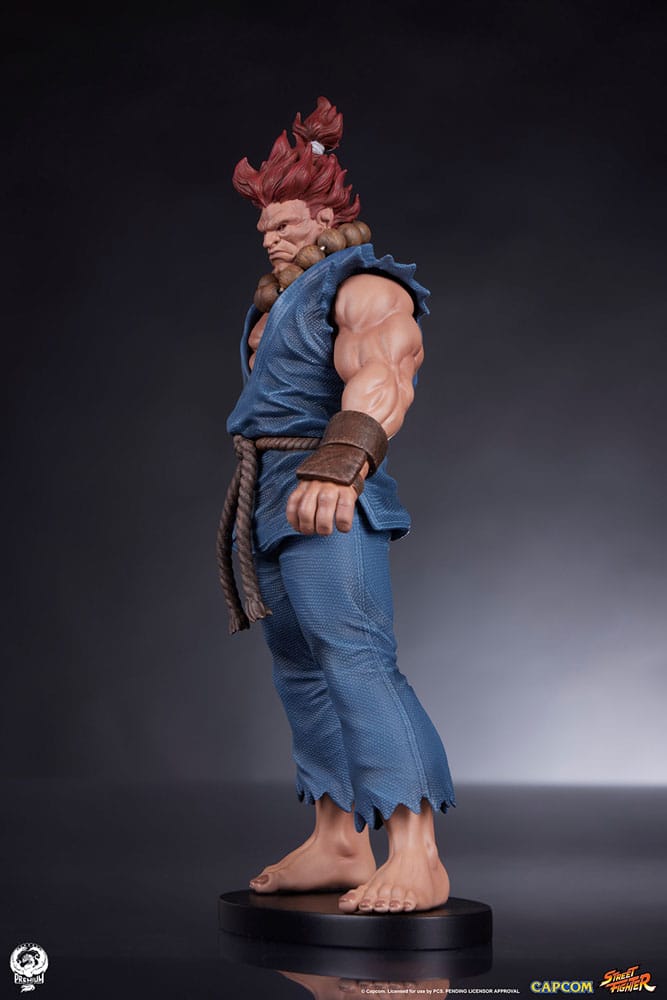 Street Fighter PVC Statues 1/10 Akuma & Dhalsim 21 cm