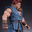 Street Fighter PVC Statues 1/10 Akuma & Dhalsim 21 cm