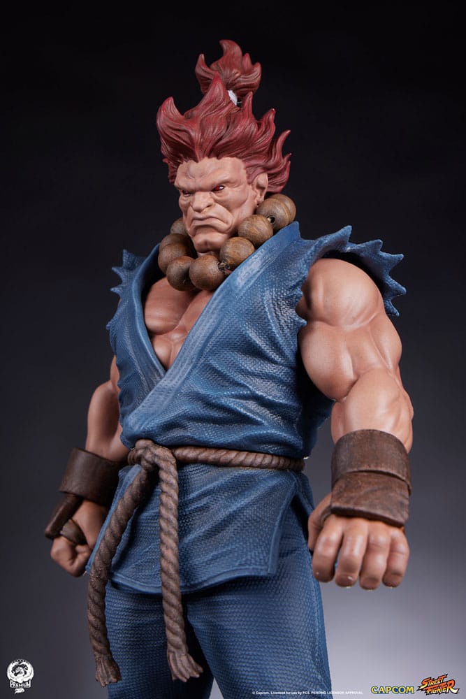 Street Fighter PVC Statues 1/10 Akuma & Dhalsim 21 cm