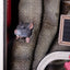 Creepshow Diorama Life-Sized Statue 1/1 104 cm
