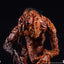 The Fly Statue 1/4 41 cm