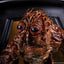 The Fly Statue 1/4 Deluxe Edition 60 cm