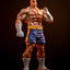 Street Fighter Street Jam Statuen 1/10 Sagat & Juli 24 cm