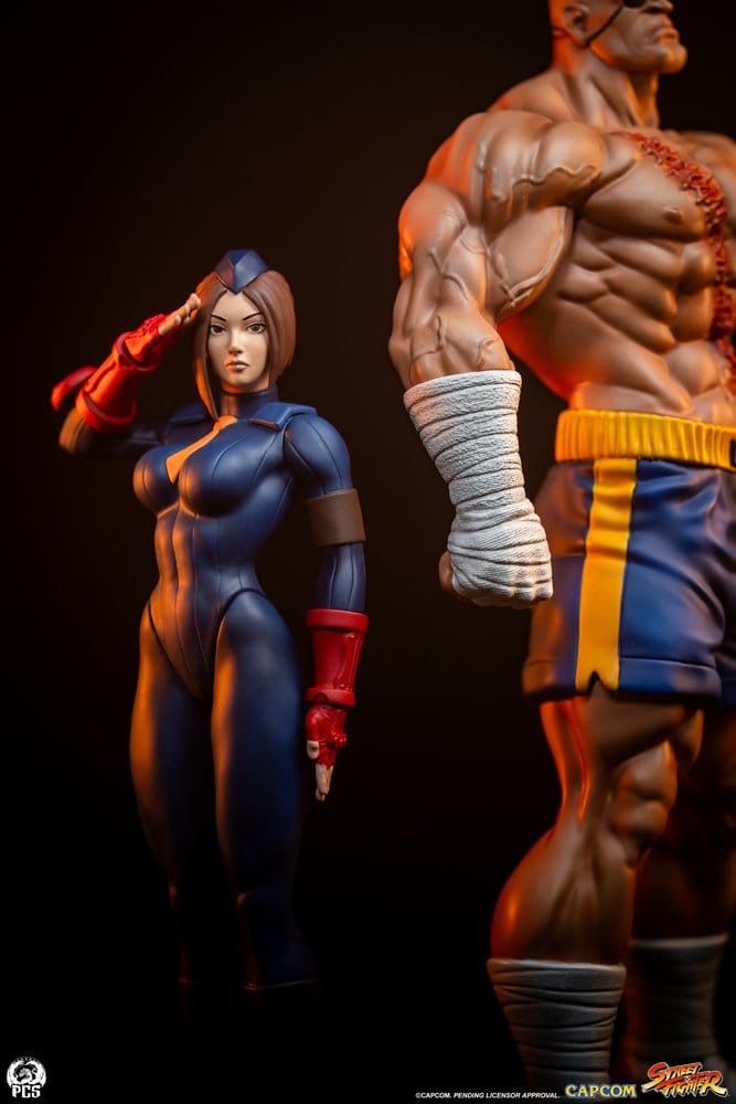 Street Fighter Street Jam Statuen 1/10 Sagat & Juli 24 cm