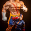 Street Fighter Street Jam Statuen 1/10 Sagat & Juli 24 cm