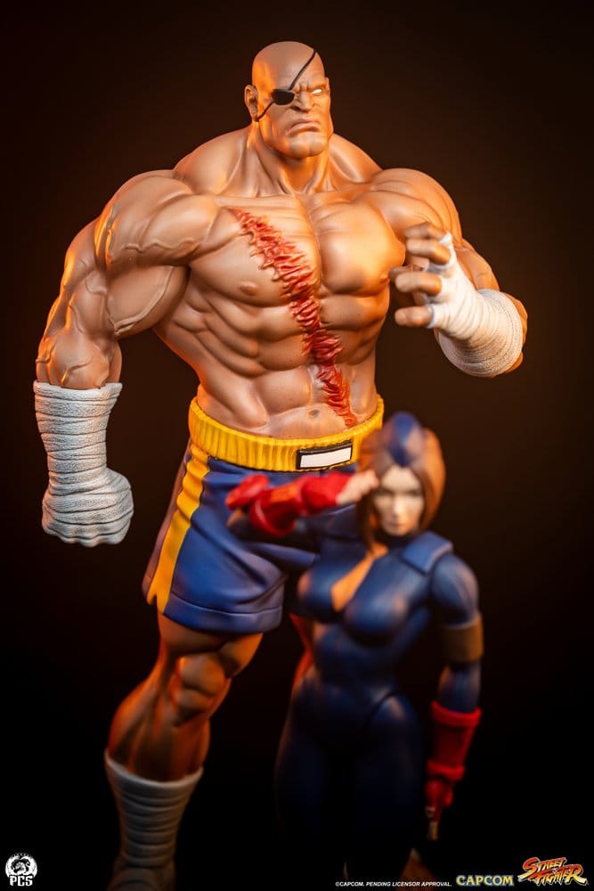 Street Fighter Street Jam Statuen 1/10 Sagat & Juli 24 cm