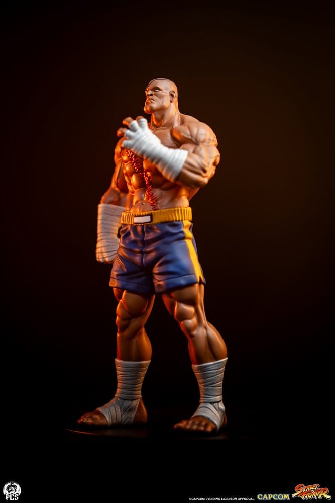 Street Fighter Street Jam Statuen 1/10 Sagat & Juli 24 cm