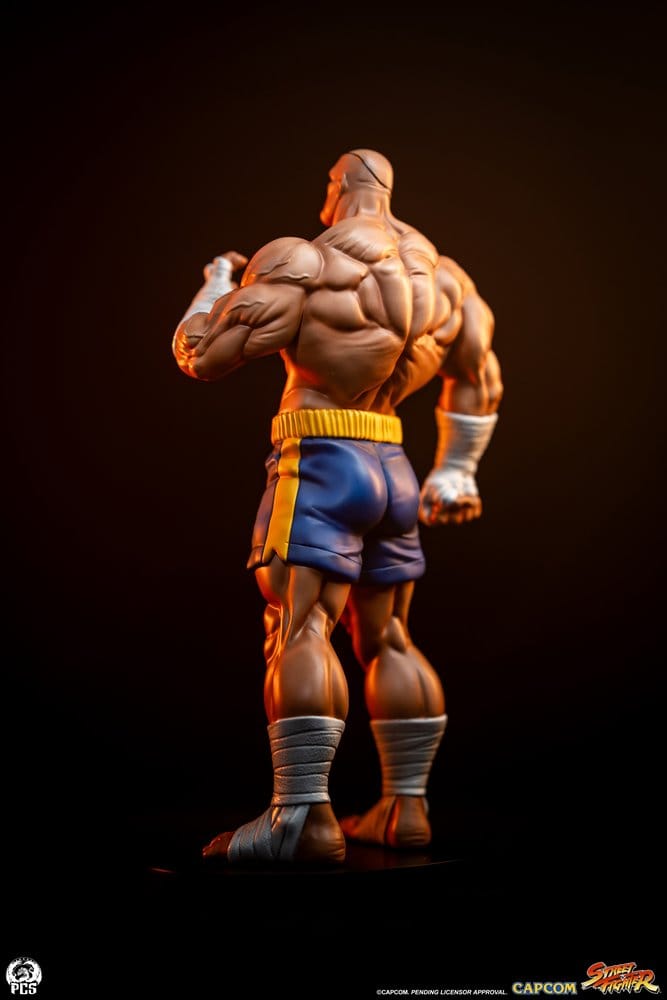 Street Fighter Street Jam Statuen 1/10 Sagat & Juli 24 cm