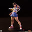 Street Fighter Street Jam Statues 1/10 Sakura & Sodom 22 cm