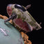 Star Wars The Empire Strikes Back Fine Art Bust Boba Fett Deluxe Edition 50 cm
