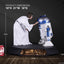 Star Wars Statue 1/3 Princess Leia 48 cm