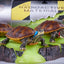 Teenage Mutant Ninja Turtles Diorama Statue 1/1 Origins 13 cm