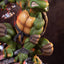 Teenage Mutant Ninja Turtles Comic Statue 1/4 Raphael 53 cm