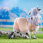 Original Character Figure 1/6 Shion Blankness: Cow Bikini Ver. Illustration by Nadare Takamine 15 cm