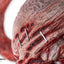 Resident Evil 3 Remake Life-Size Bust 1/1 Nemesis 92 cm