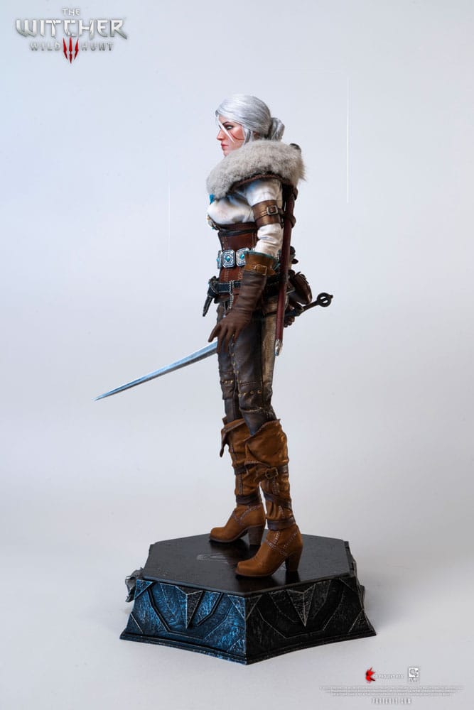 The Witcher 3: Wild Hunt Action Figure 1/6 Ciri of Cintra 30 cm
